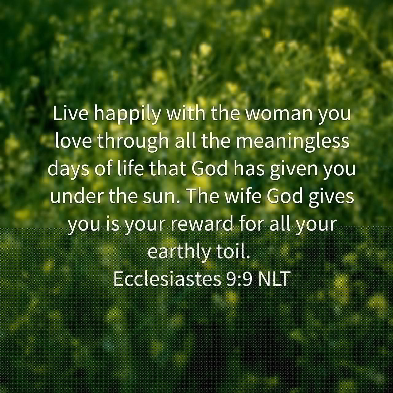 Ecclesiastes 9:9 NLT