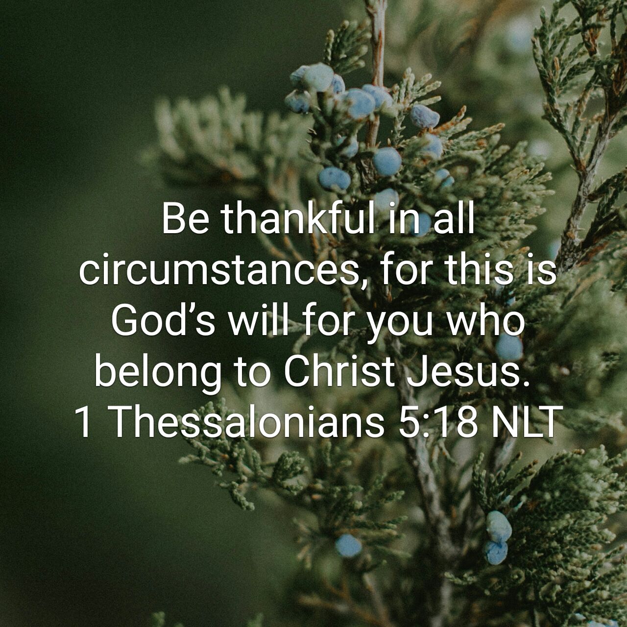 1 Thessalonians 5:18 NLT