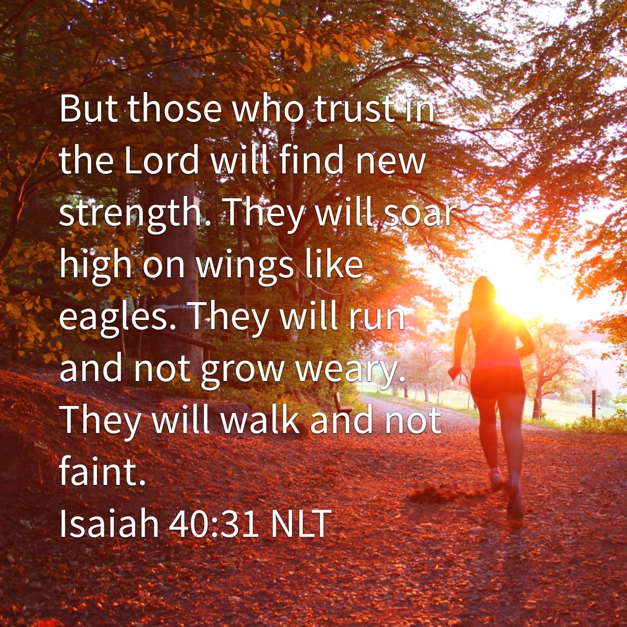 Isaiah 40:31 NLT But those who trust in the Lord will find new strength. They will soar high on wings like eagles. They will run and not grow weary. They will walk and not faint. - Isaiah 40:31 NLT